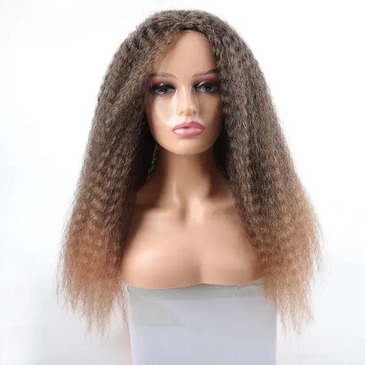 Afro Kinky Curly Hair Wigs